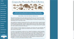 Desktop Screenshot of brainmuseum.org